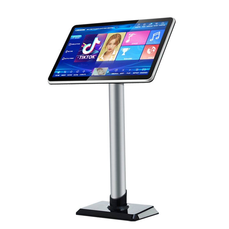 40W Chinese Karaoke Speler Mac - Home Bar Android recensie en prijs